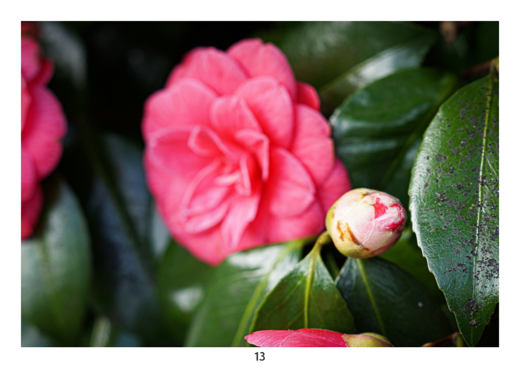 Unfilter'd_2024_Page_24